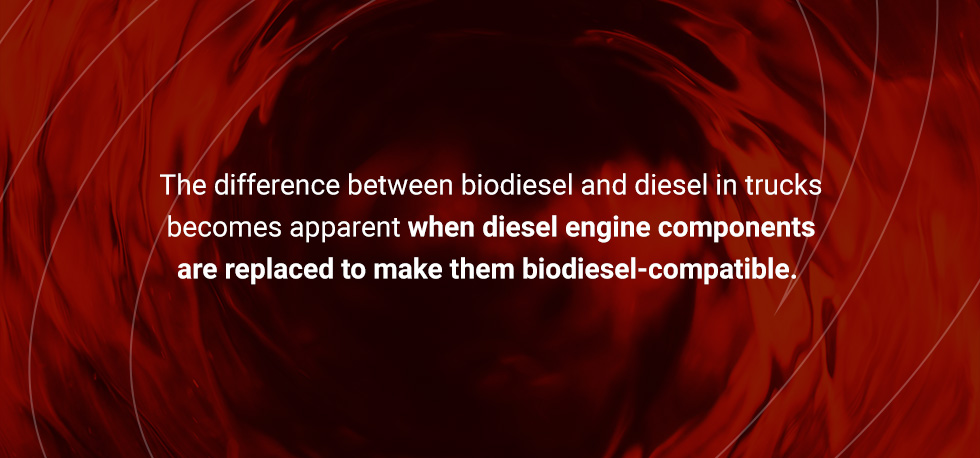 biodiesel vs diesel engine compatibility